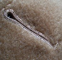 asola-su-cappotto.jpg
