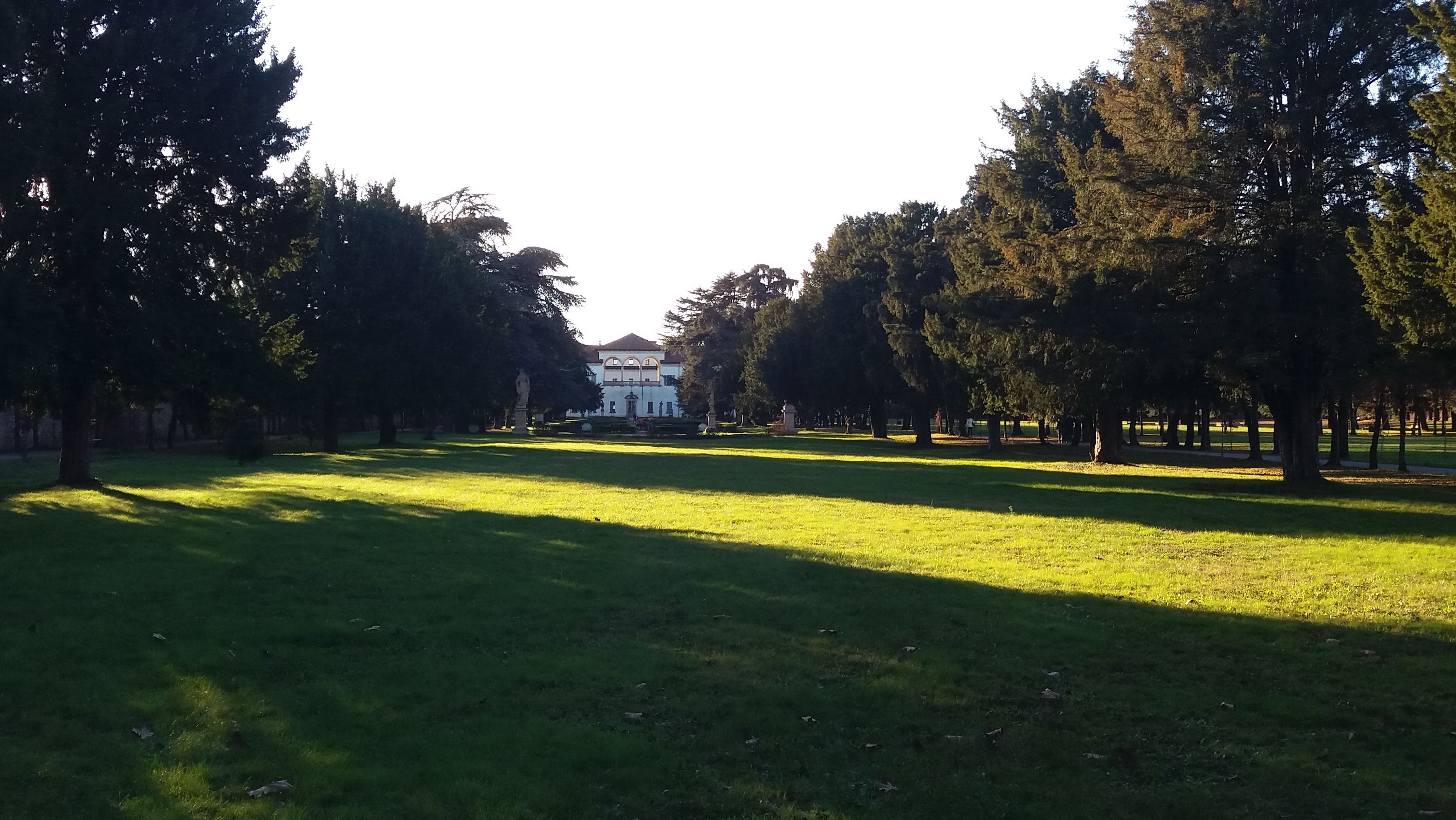 20181209_152006.jpg